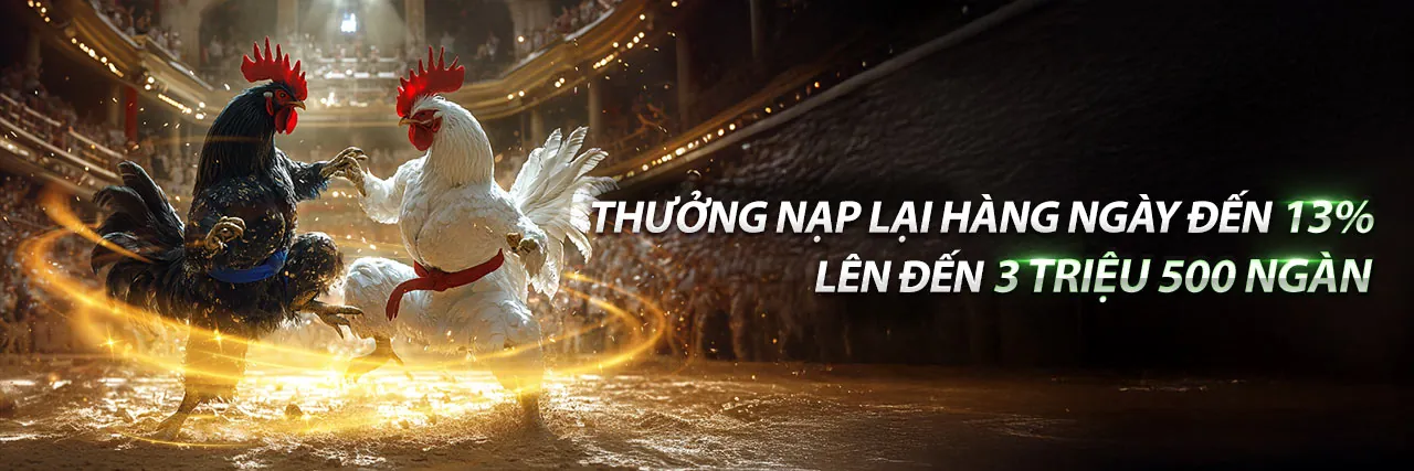 Giao diện cá cược trực tiếp
