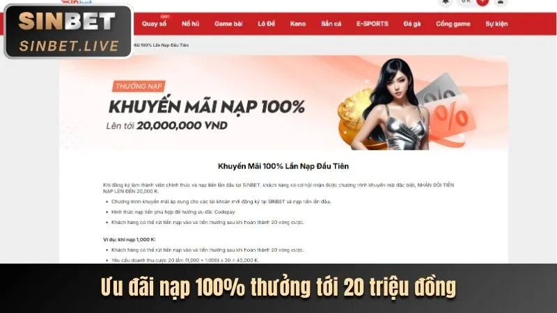 Hộp quà tặng và tiền xu tượng trưng cho tiền thưởng chào mừng